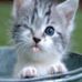 Darcy McCarthy - Facebook