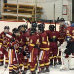 D'arcy Mcgee - @dmhs_hockey - Instagram