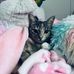 Darcy Meade - Facebook