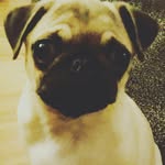Darcey Mooney - @unicorn_4123 - Instagram