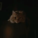 Darcy Morrison - @darcy.morrison.1 - Instagram