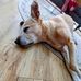 Darcy Perry - Facebook