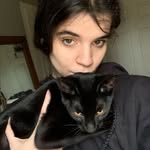 Darcy Perry - @darcy_h2 - Instagram
