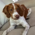 Darcy Pierce - @darpierce17 - Instagram