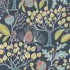 Darci Powell - @darcipowell94 - TikTok