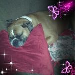 Darcy Nichols Reeves - @darcyreeves15 - Instagram