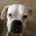 Darcy Robb - Facebook