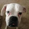 darcyrobb889 - @darcyrobb889 - TikTok