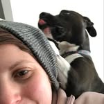 Darcy Rozen Pet Photography - @rozendoggos - Instagram