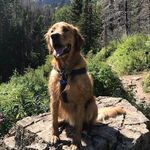 Darcy L. Seitz - @darcyseitz17 - Instagram
