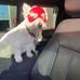 Darcy Seitz - Facebook