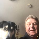Darcy McNabb - @darcy_steeler_fan - Instagram