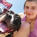 Darcy Stephens - @darcy.the.pitty - Instagram