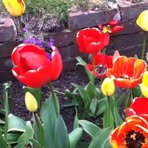 Darcy Stock - Facebook