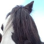 Darcy storm shoobridge - @darcy3336 - Instagram