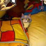 Darci stover - @darcistover - Instagram