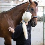 Darcy Calkins Stricker - @dcscolorado - Instagram