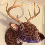 Darcy Stricker - Facebook