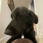 Darcy Sullivan - @darcysullivan01 - Instagram