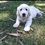 Darcy Sullivan - Facebook