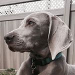 Darcy - @darcyterrell7 - Instagram