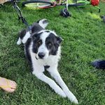 Travis darcy - @therealtravisdarcy - Instagram