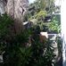 Neeja Darcy Vargas - Facebook