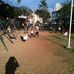 Parque Municipal Darcy Vargas - Facebook