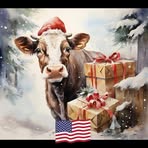 Darcy Waller - Facebook