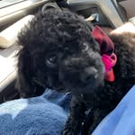 Darcy Waters - @darcy_fl - Instagram