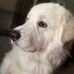 Darcy Watson - Facebook