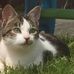 Darcy Watson - Facebook