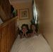 Darcy Webb - Facebook