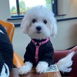Darcy Webb - @darcywebb_md - Instagram