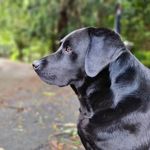 Darcy Wells - @darcy__wells - Instagram