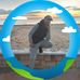 Tariik Korich - Facebook