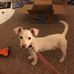 Darel Johnson - Facebook