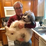 Darrel Powell - @darrelpowell580 - Instagram
