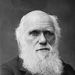 Darwin Back - Facebook