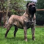 Daren Black - @big_d_rogger23 - Instagram
