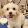Daren martin - @daren.martin8 - TikTok