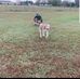 Daren Martin - Facebook