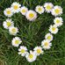 Daren Nerad - Facebook
