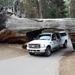 Daren Walker - @daren.walker.77 - Instagram