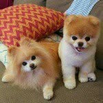 daren wang - @darren_wang_88888888888888 - Instagram