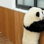 Daren Wang - @love6lin - Instagram