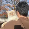 darenwang213 - @darenwang213 - TikTok
