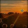 DARGAN - @dargan917 - TikTok