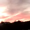 Dari Hernandez - @dari.hernandez388 - TikTok