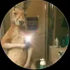 Darihernande - @darihernandez123 - TikTok